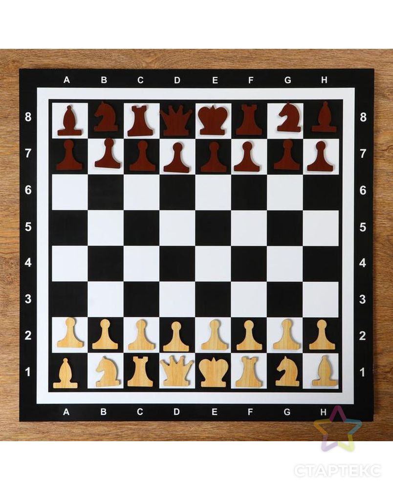 Демонстрационные шахматы на магнитной доске, 60х60 см арт. СМЛ-83756-1-СМЛ0004870420 1