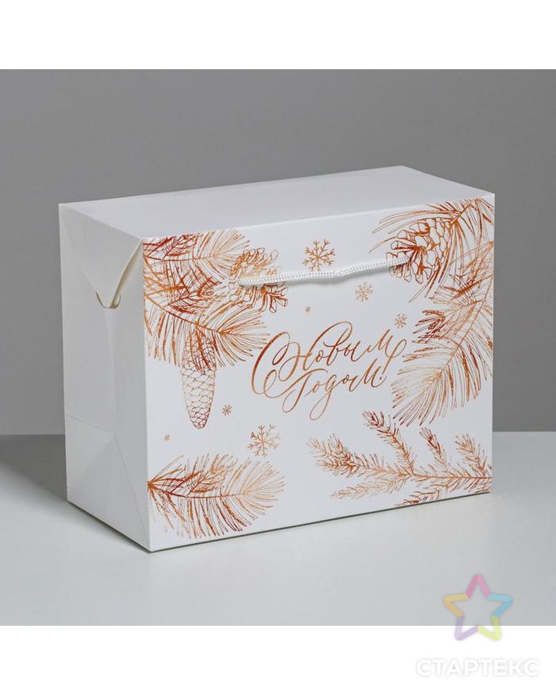 Пакет-коробка «С Новым годом», 23 × 18 × 11 см арт. СМЛ-91347-1-СМЛ0004922088 1