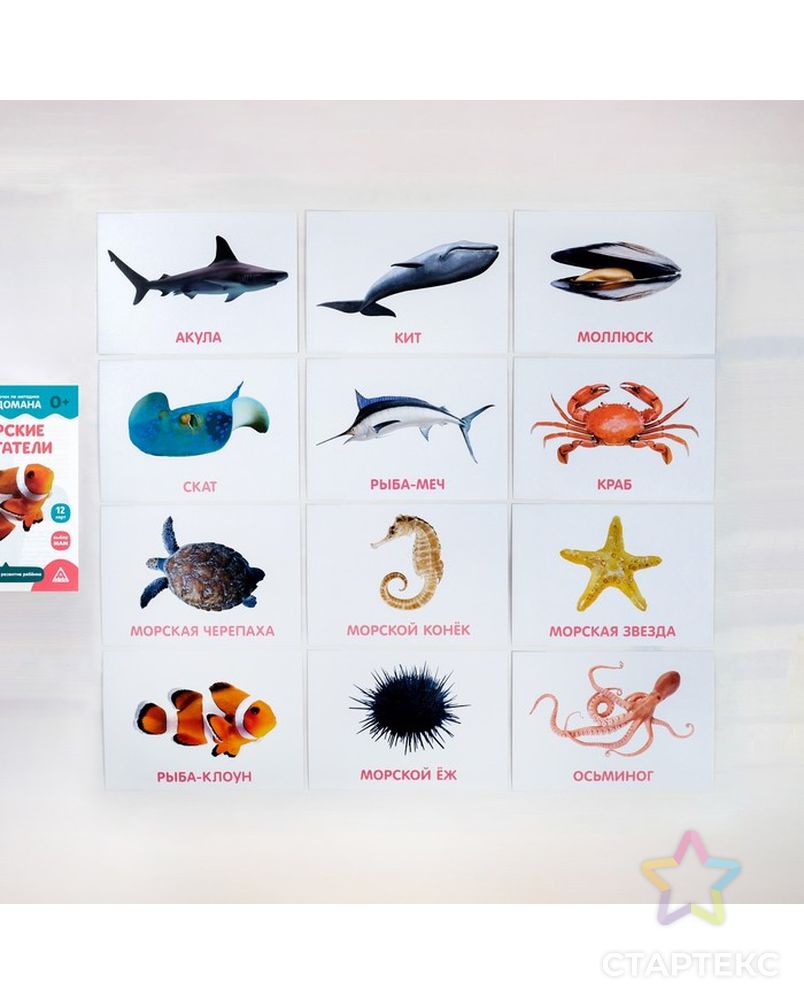 Обитатели океанов для дошкольников. Карточки Глена Домана морские животные. Обитатели океанов для детей. Животные морей и океанов для детей. Морские животные карточки для детей.