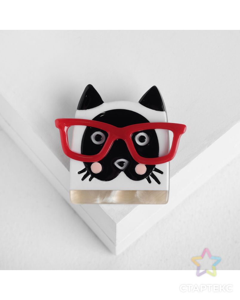 Брошь "Котик" в очках, цвет чёрно-белый арт. СМЛ-105451-2-СМЛ0004933037