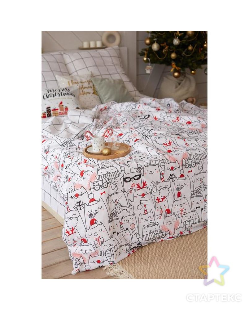 Постельное белье Этель 2 сп Xmas cat 175*215 см, 200*220 см, 70*70 см - 2 шт арт. СМЛ-178599-3-СМЛ0004935599