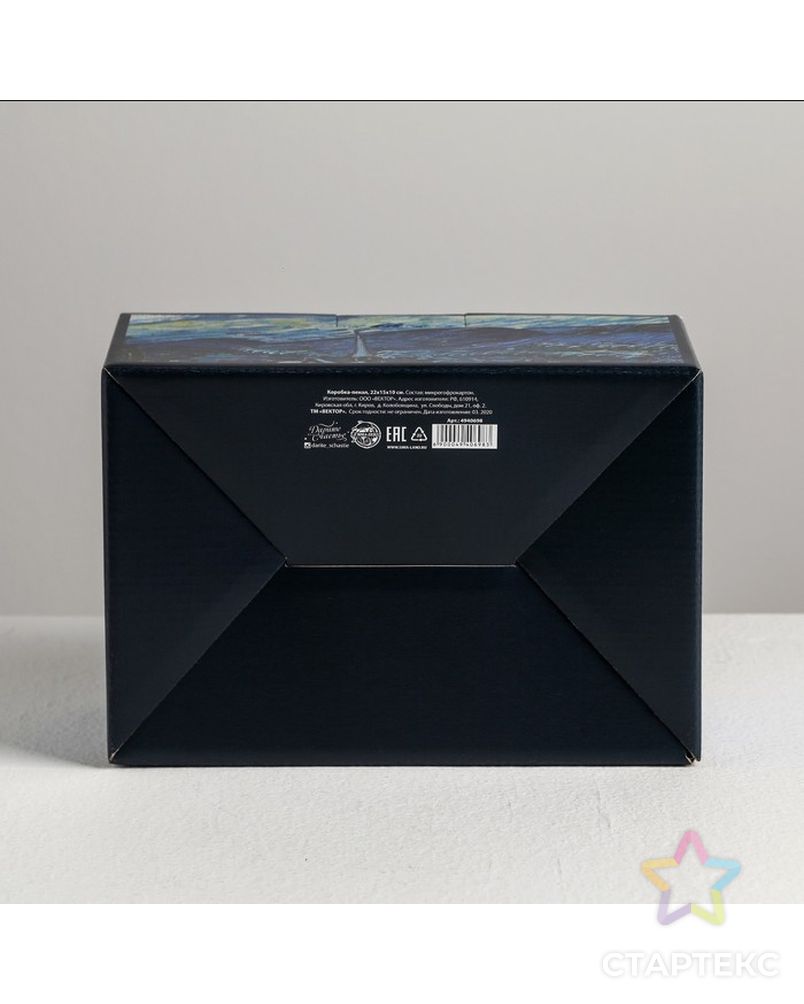 Коробка‒пенал «Ван Гог», 22 × 15 × 10 см арт. СМЛ-84407-1-СМЛ0004940698 3