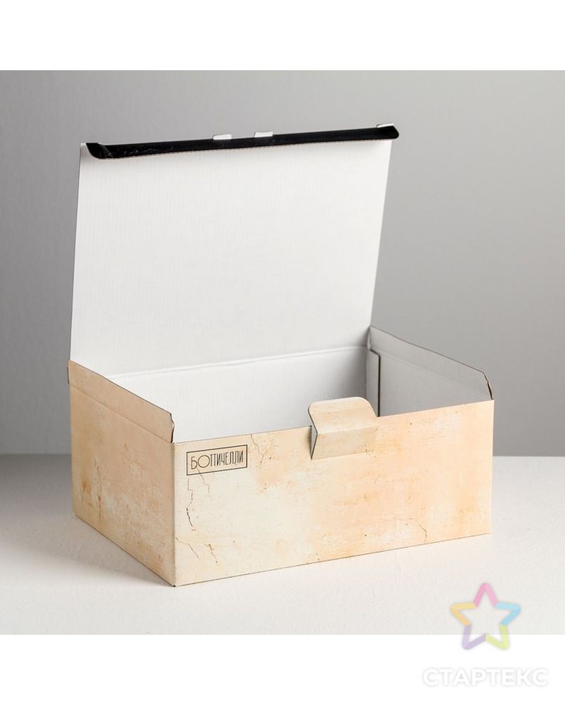 Коробка‒пенал «Ботичелли», 26 × 19 × 10 см арт. СМЛ-84410-1-СМЛ0004940706 4