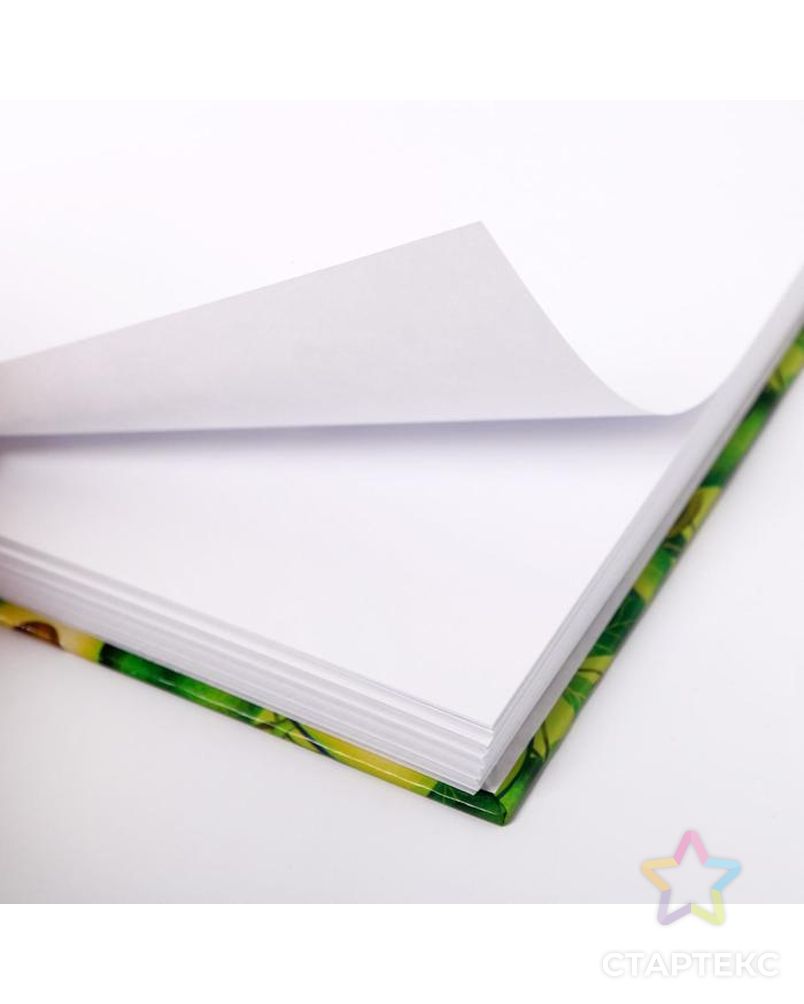 Скетчбук горизонтальный на гребне Sketchbook avocado, А5,80 листов арт. СМЛ-207055-1-СМЛ0004958968 5
