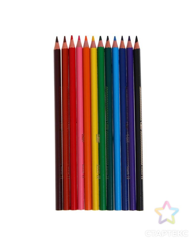 Цветные карандаши 12 цветов, для подростков и взрослых, трёхгранные, BIC Color Up, МИКС арт. СМЛ-177435-1-СМЛ0004965866 3