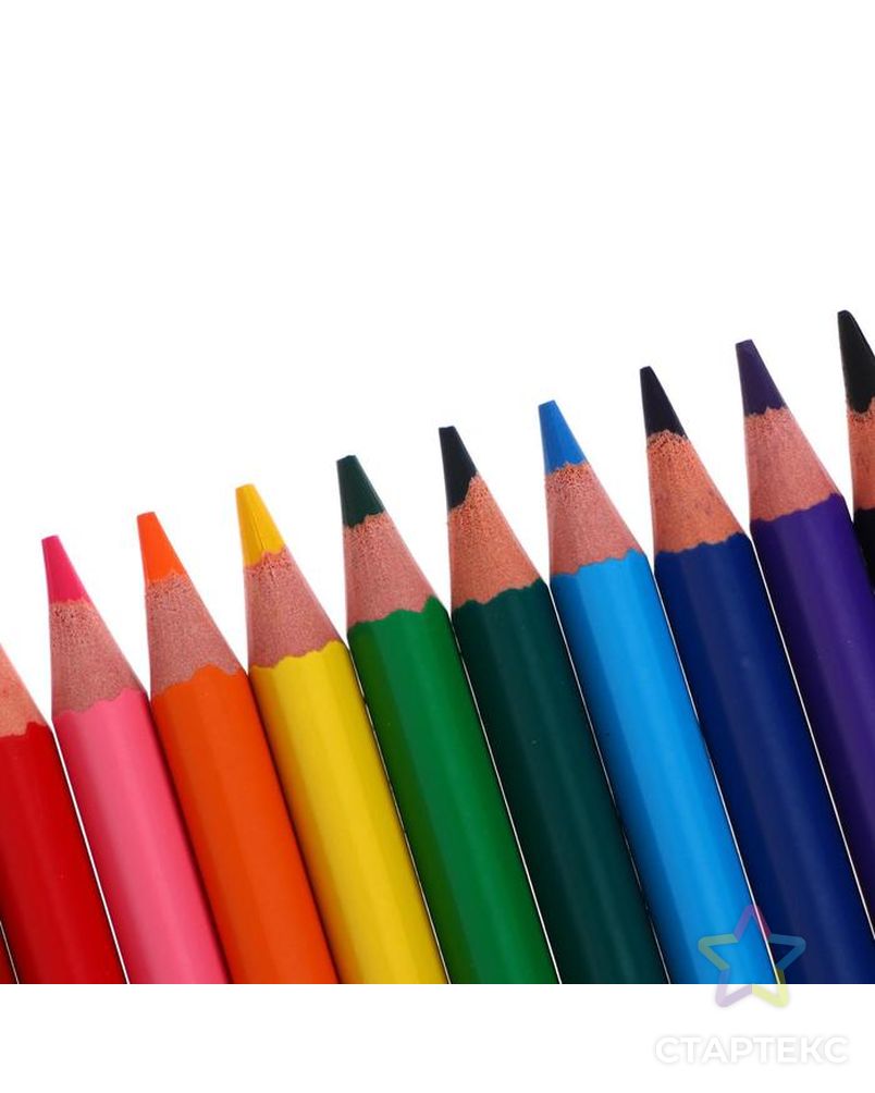 Цветные карандаши 12 цветов, для подростков и взрослых, трёхгранные, BIC Color Up, МИКС арт. СМЛ-177435-1-СМЛ0004965866 4