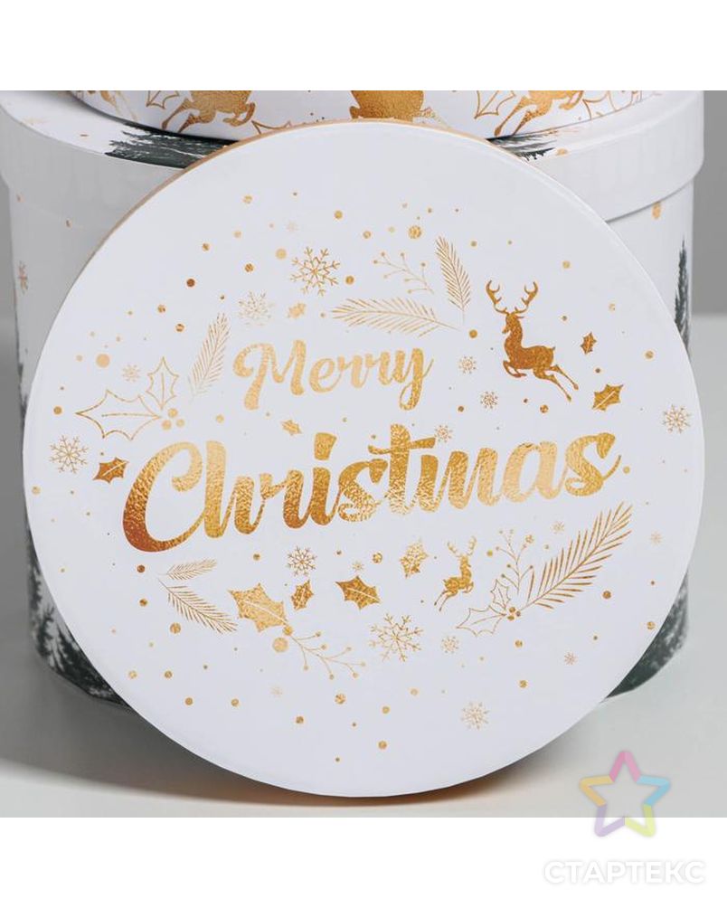 Набор подарочных коробок  5 в 1 «Белое золото», 13 × 14‒19.5 × 22 см арт. СМЛ-91112-1-СМЛ0004966000 4
