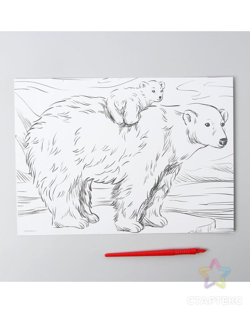 Гравюра "Медведица и медвежонок" A4, с металлическим серебряным эффектом арт. СМЛ-105416-1-СМЛ0004966841