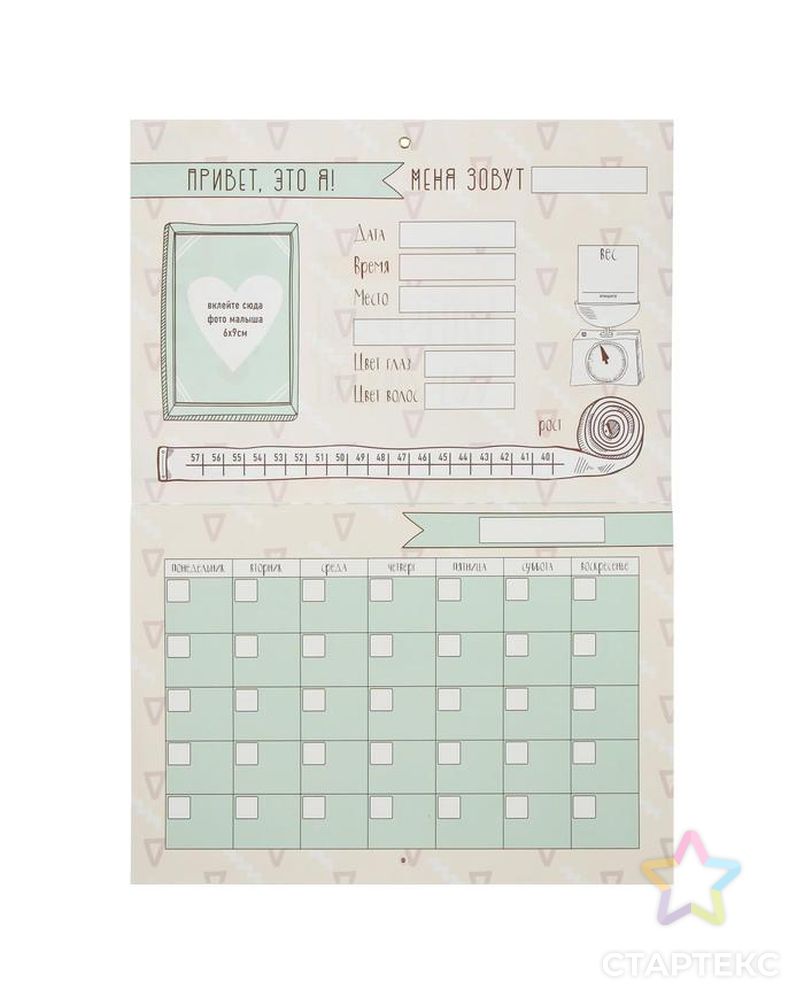 Настенный календарь-планер "Первый год малыша" 79 наклеек, А4 арт. СМЛ-108585-1-СМЛ0004971468