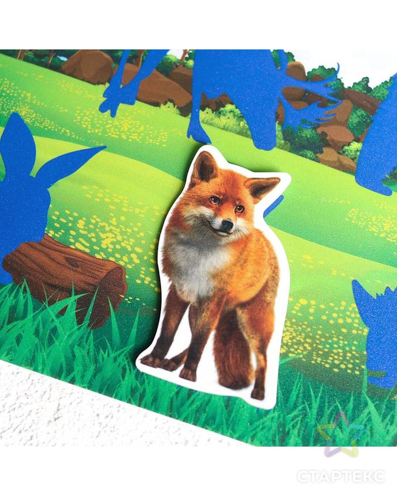 Игрушка развивающая "Веселые липучки. Изучаем мир лесных животных" арт. СМЛ-107074-1-СМЛ0004978163 4