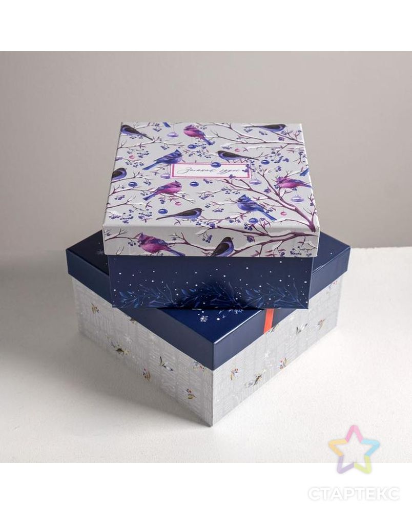 Набор подарочных коробок 6 в 1  «Новогодний», 10 × 10 × 6 - 20 × 20 × 11 см арт. СМЛ-86850-1-СМЛ0004992038 2