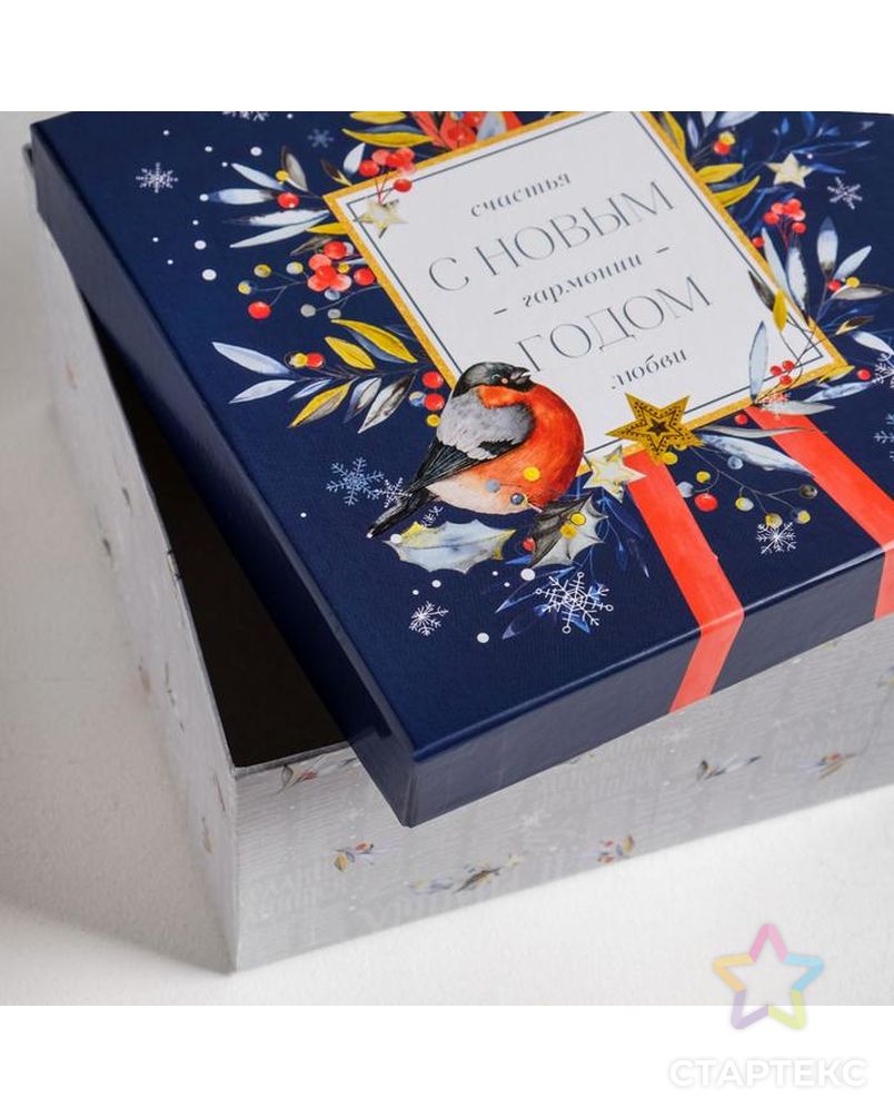 Набор подарочных коробок 6 в 1  «Новогодний», 10 × 10 × 6 - 20 × 20 × 11 см арт. СМЛ-86850-1-СМЛ0004992038 3