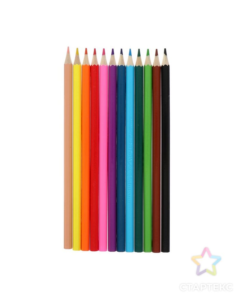 Карандаши цветные 12 цветов "Гарри Поттер", заточенные, картонная коробка, европодвес арт. СМЛ-214183-1-СМЛ0004992961 3