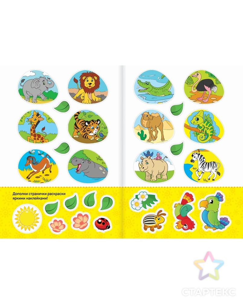 Раскраски с наклейками набор «Животные со всего света», 3 шт. по 16 стр. арт. СМЛ-82786-1-СМЛ0004996094 3