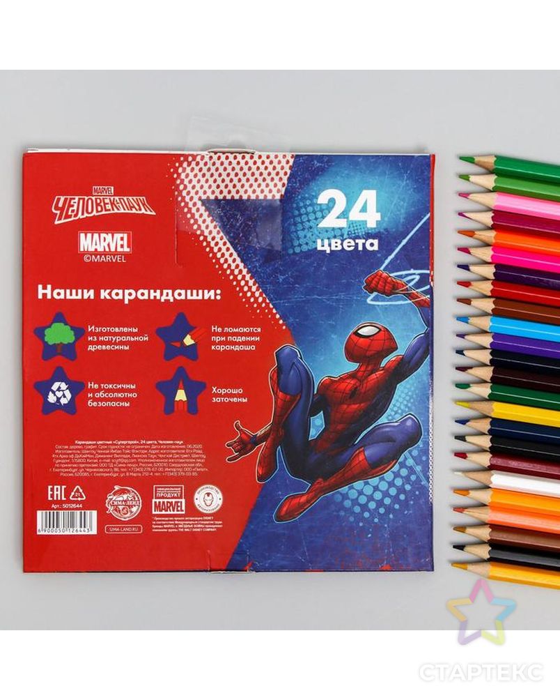 Карандаши цветные, 24 цвета "Супергерой", Человек-Паук арт. СМЛ-192374-1-СМЛ0005012644 3