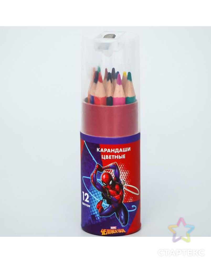 Карандаши цветные с точилкой в тубусе МИНИ, 12 цветов, "Супергерой", Человек-Паук арт. СМЛ-200337-1-СМЛ0005012655 1