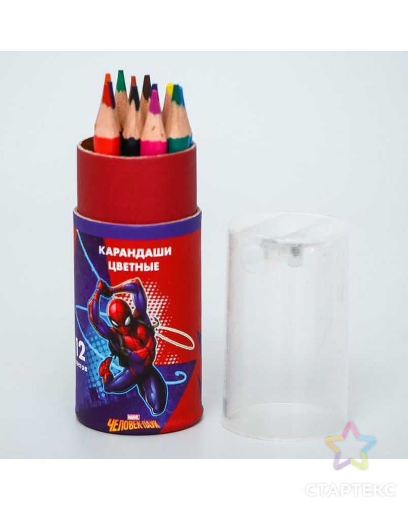 Карандаши цветные с точилкой в тубусе МИНИ, 12 цветов, "Супергерой", Человек-Паук арт. СМЛ-200337-1-СМЛ0005012655 4