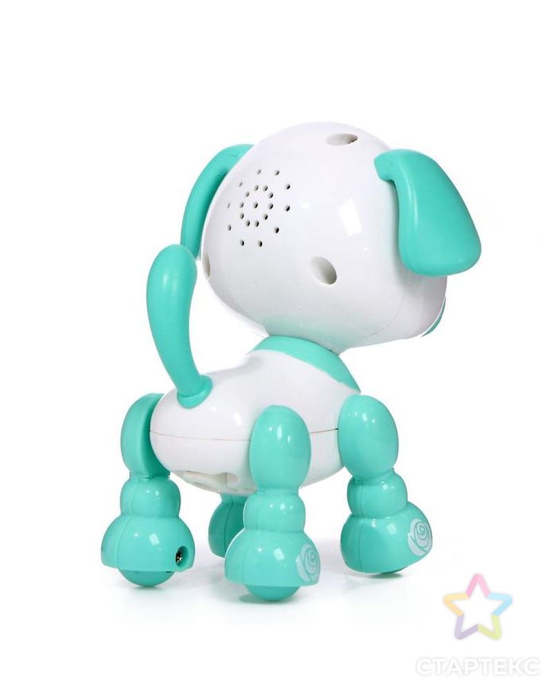 Интерактивная игрушка "Умный дружок", звук, свет, цвет бирюзовый арт. СМЛ-109168-1-СМЛ0005034632 3