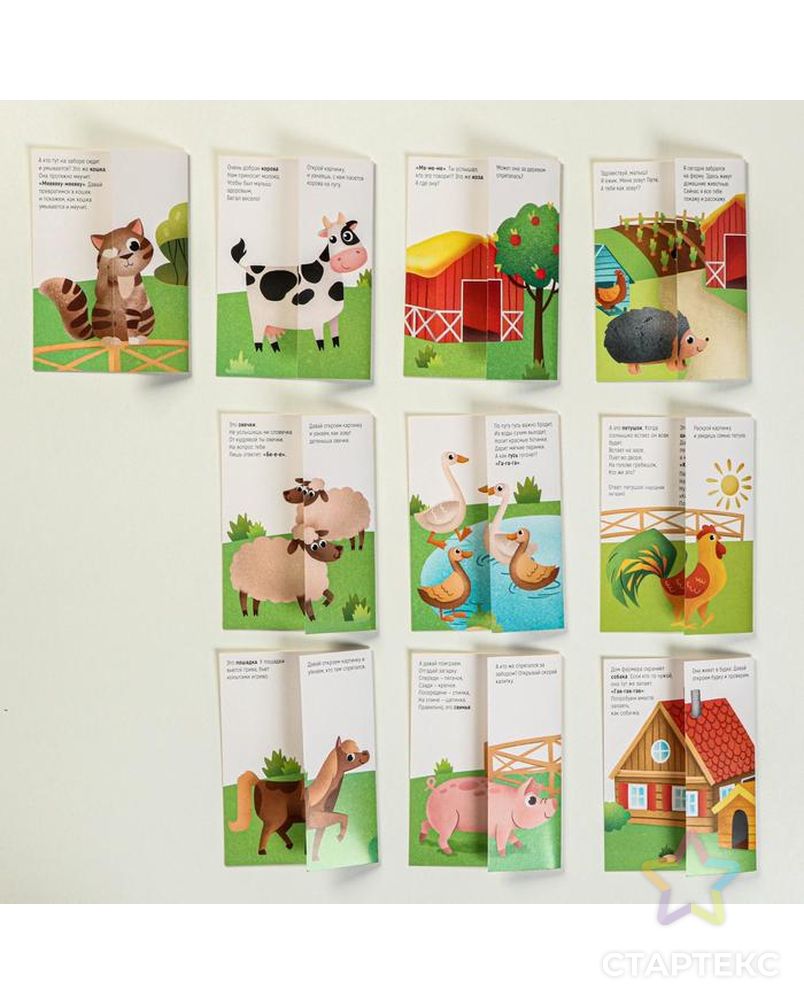 Обучающие карточки «Запуск речи. Что происходит на ферме?» с открывающимися окнами арт. СМЛ-90602-1-СМЛ0005059398 3