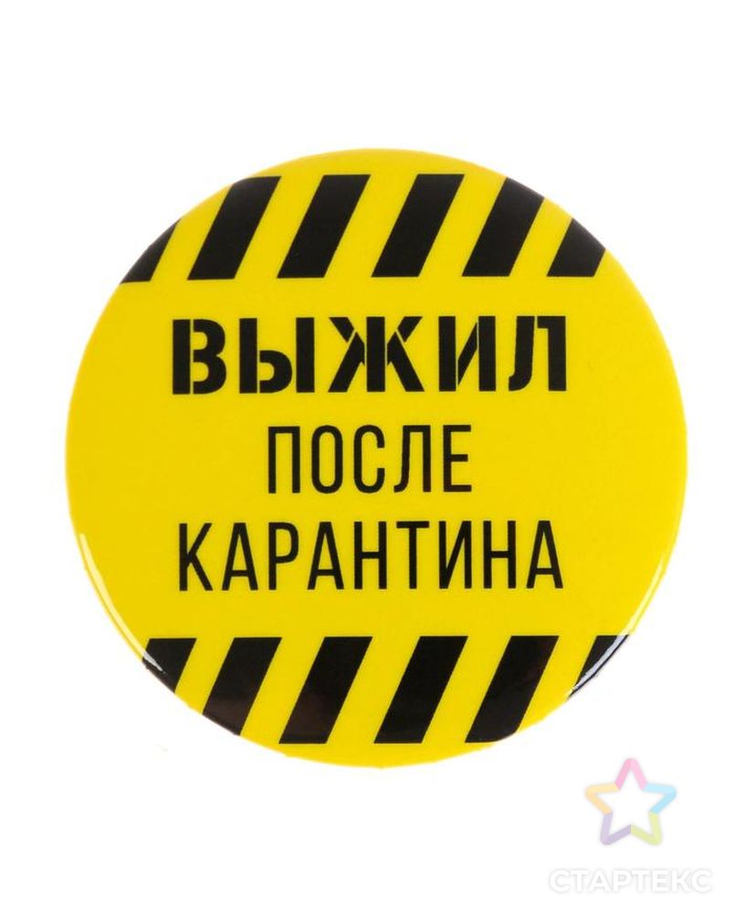 Значок "Выжил после карантина", 56 мм арт. СМЛ-105234-1-СМЛ0005074950 2