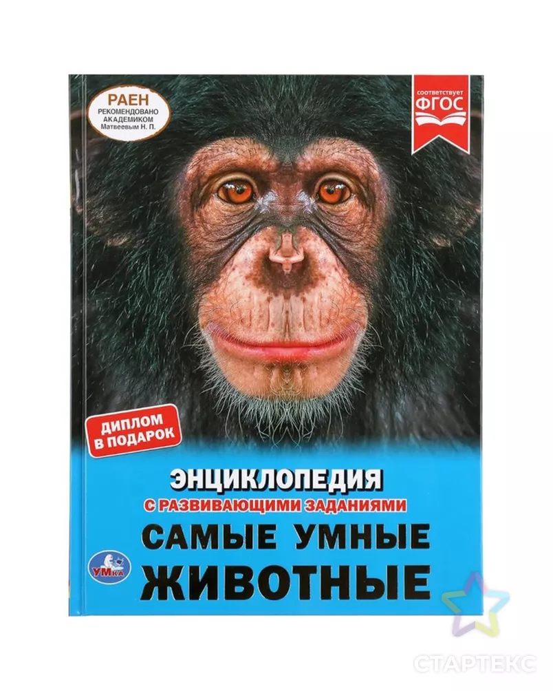 А4 самой умной