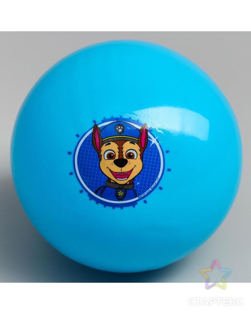 Мяч детский Paw Patrol "Гончик", 16 см, 50 гр, цвета МИКС арт. СМЛ-136135-1-СМЛ0005083416 2