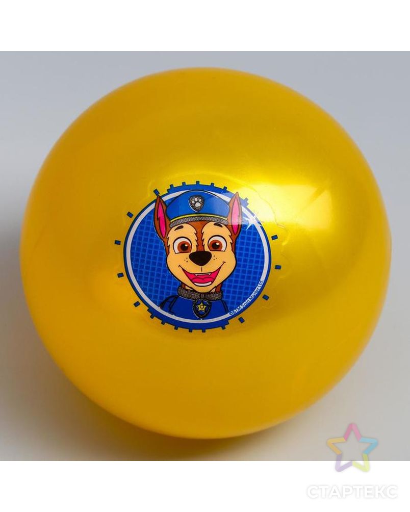 Мяч детский Paw Patrol "Гончик", 16 см, 50 гр, цвета МИКС арт. СМЛ-136135-1-СМЛ0005083416 3