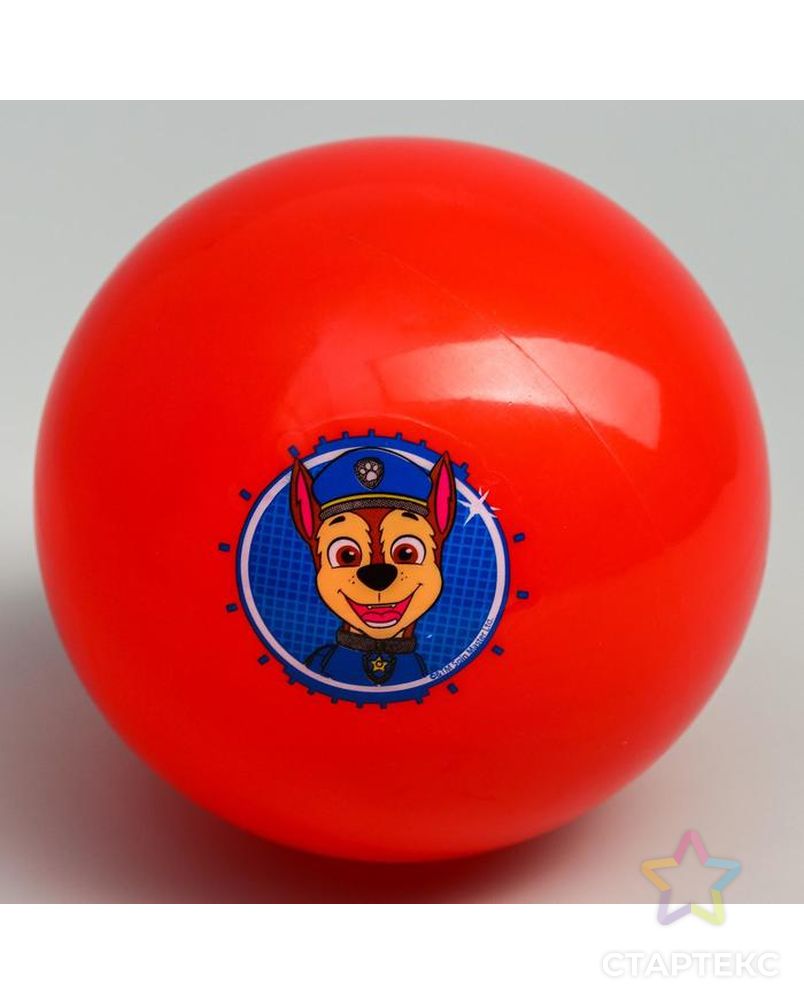Мяч детский Paw Patrol "Гончик", 16 см, 50 гр, цвета МИКС арт. СМЛ-136135-1-СМЛ0005083416 4