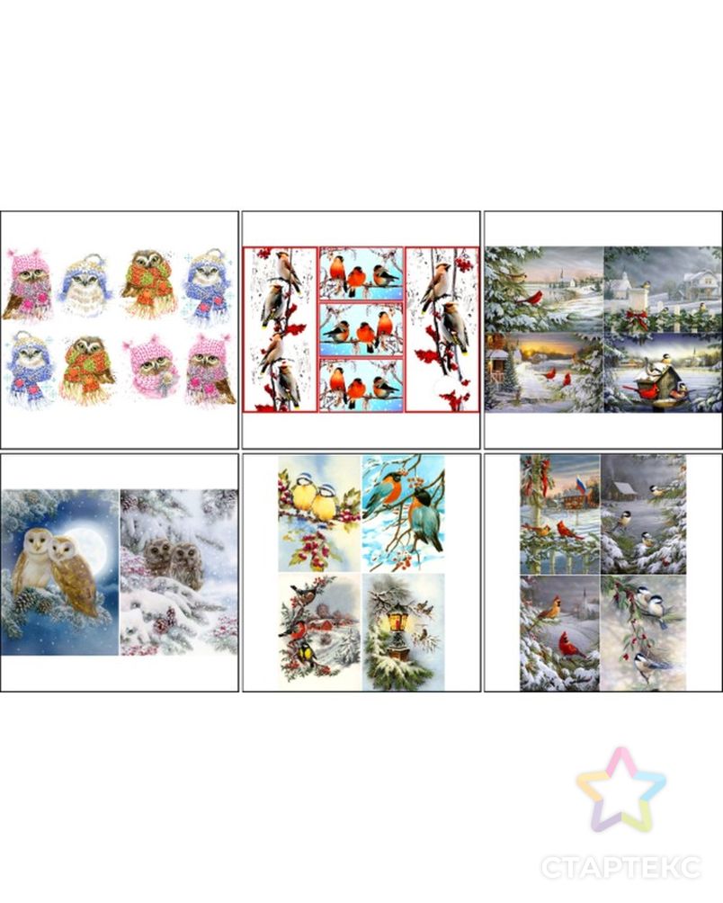 Набор декупажных карт 6 шт "Птицы зимой" А4, 45 г/м2 арт. СМЛ-154980-1-СМЛ0005096034 1