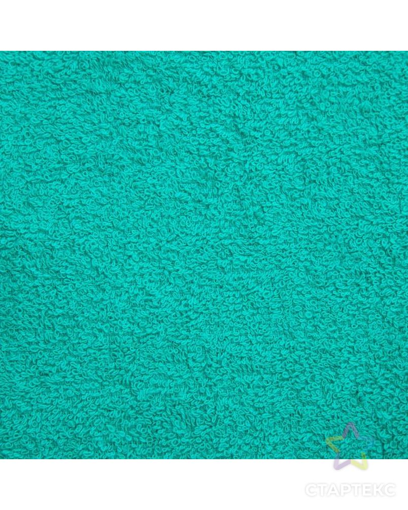 Полотенце махровое «Экономь и Я», 70х130 см, цвет ежевичный арт. СМЛ-110932-3-СМЛ0005135578 2