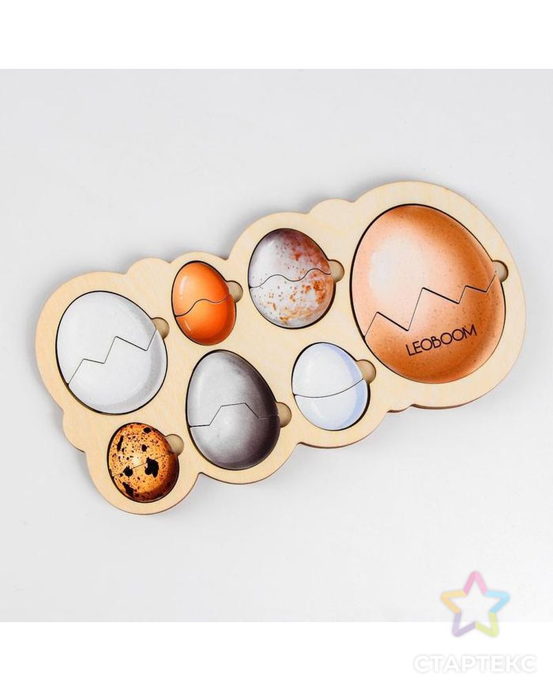 Рамка-вкладыш «Кто живет в яйце?» арт. СМЛ-87613-1-СМЛ0005149103 1