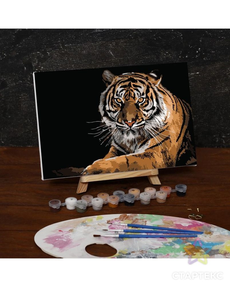 Картина по номерам на холсте с подрамником «Тигр», 30х20 см арт. СМЛ-207975-1-СМЛ0005177165 1