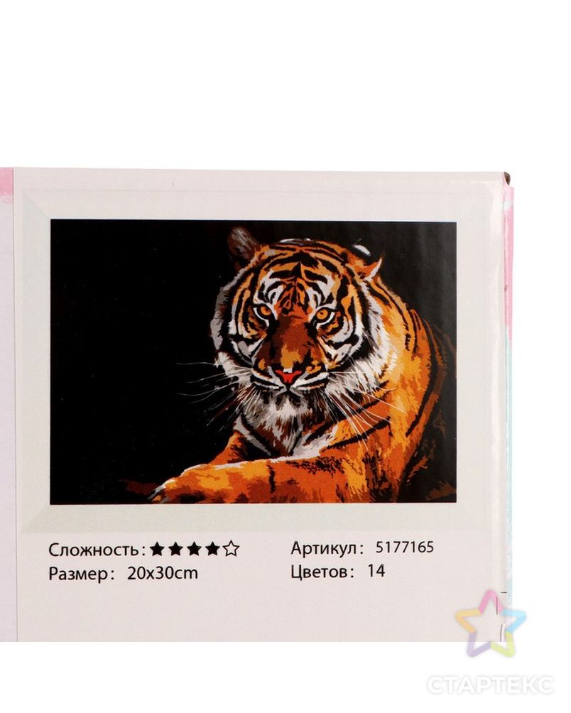 Картина по номерам на холсте с подрамником «Тигр», 30х20 см арт. СМЛ-207975-1-СМЛ0005177165 4