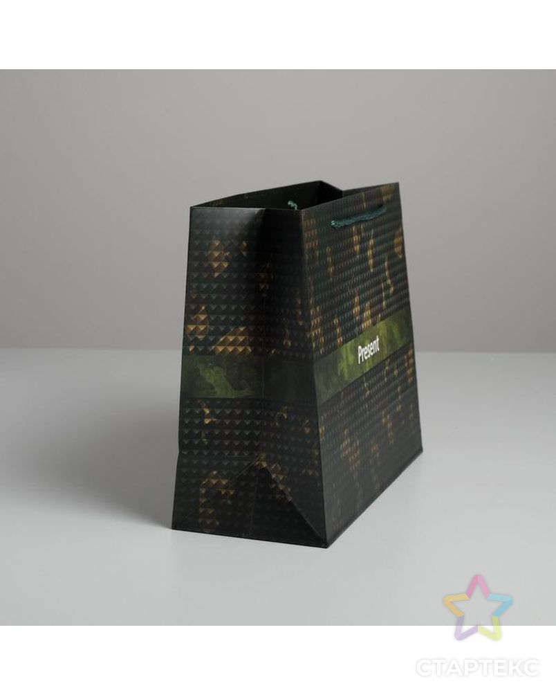 Пакет ламинированный горизонтальный Present, ML 27 × 23 × 11,5 см арт. СМЛ-136605-1-СМЛ0005187556 2