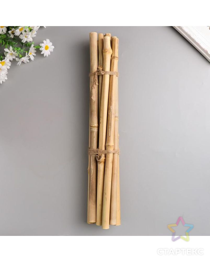 Декоративный бамбук 40 см, 10 шт арт. СМЛ-155015-1-СМЛ0005219438 2