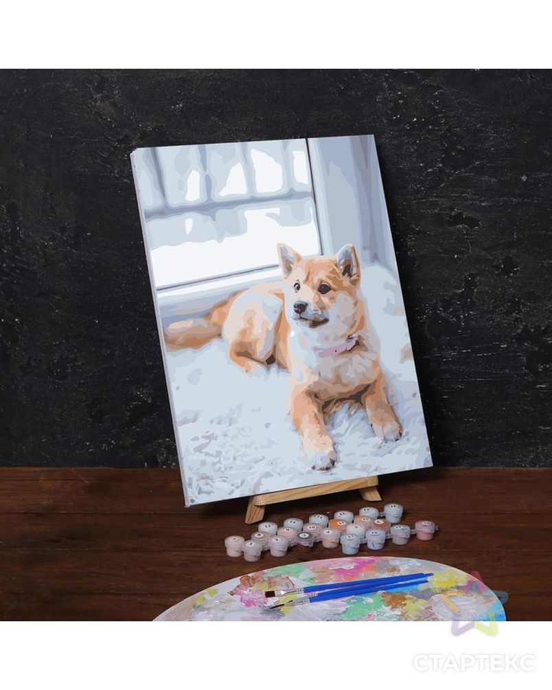 Картина по номерам на холсте с подрамником «Пёс на ковре», 40х30 см арт. СМЛ-208562-1-СМЛ0005222595 1