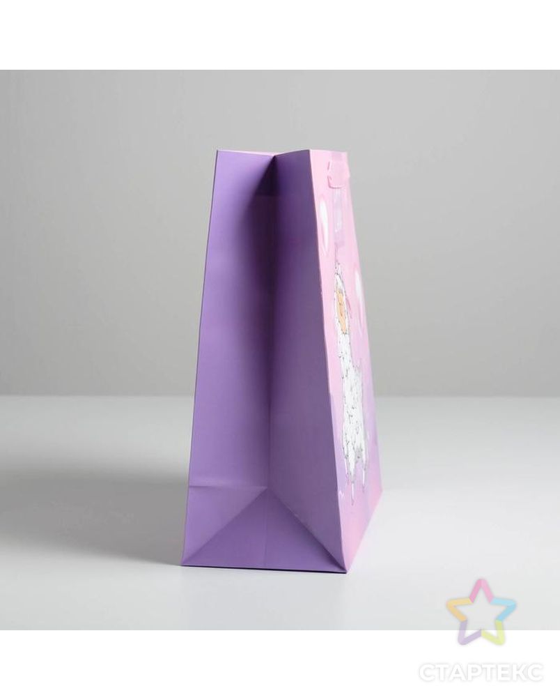Пакет ламинированный квадратный Cosmo Llama, 30 × 30 × 12 см арт. СМЛ-132901-1-СМЛ0005226254 3