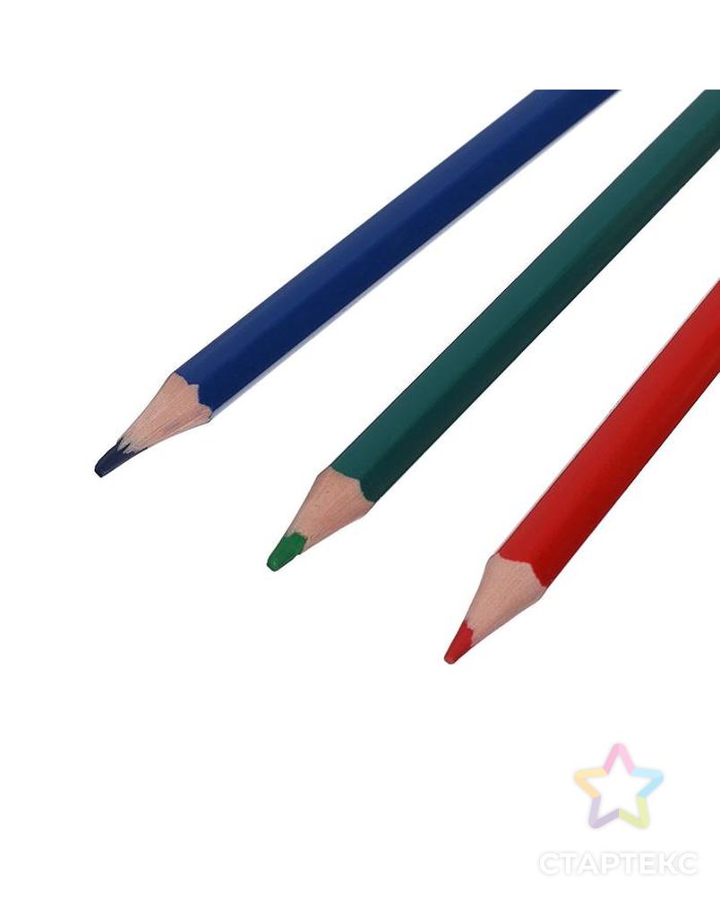 Цветные карандаши 6 цветов ZOO, пластиковые, шестигранные арт. СМЛ-177993-1-СМЛ0005274927 2