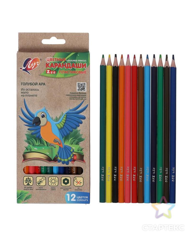 Цветные карандаши 12 цветов ZOO, пластиковые, шестигранные арт. СМЛ-187860-1-СМЛ0005274928 1