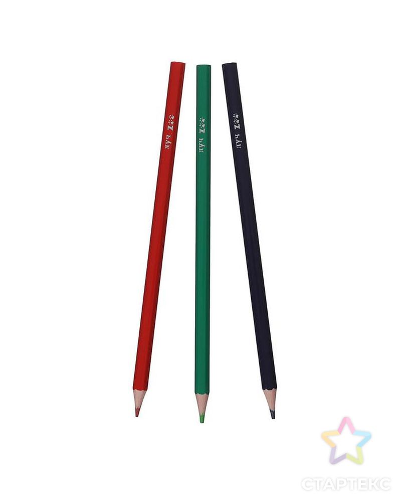 Цветные карандаши 12 цветов ZOO, пластиковые, шестигранные арт. СМЛ-187860-1-СМЛ0005274928 2