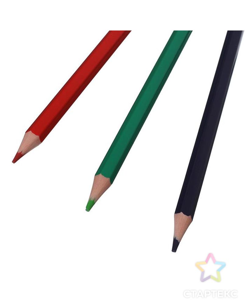 Цветные карандаши 12 цветов ZOO, пластиковые, шестигранные арт. СМЛ-187860-1-СМЛ0005274928 3