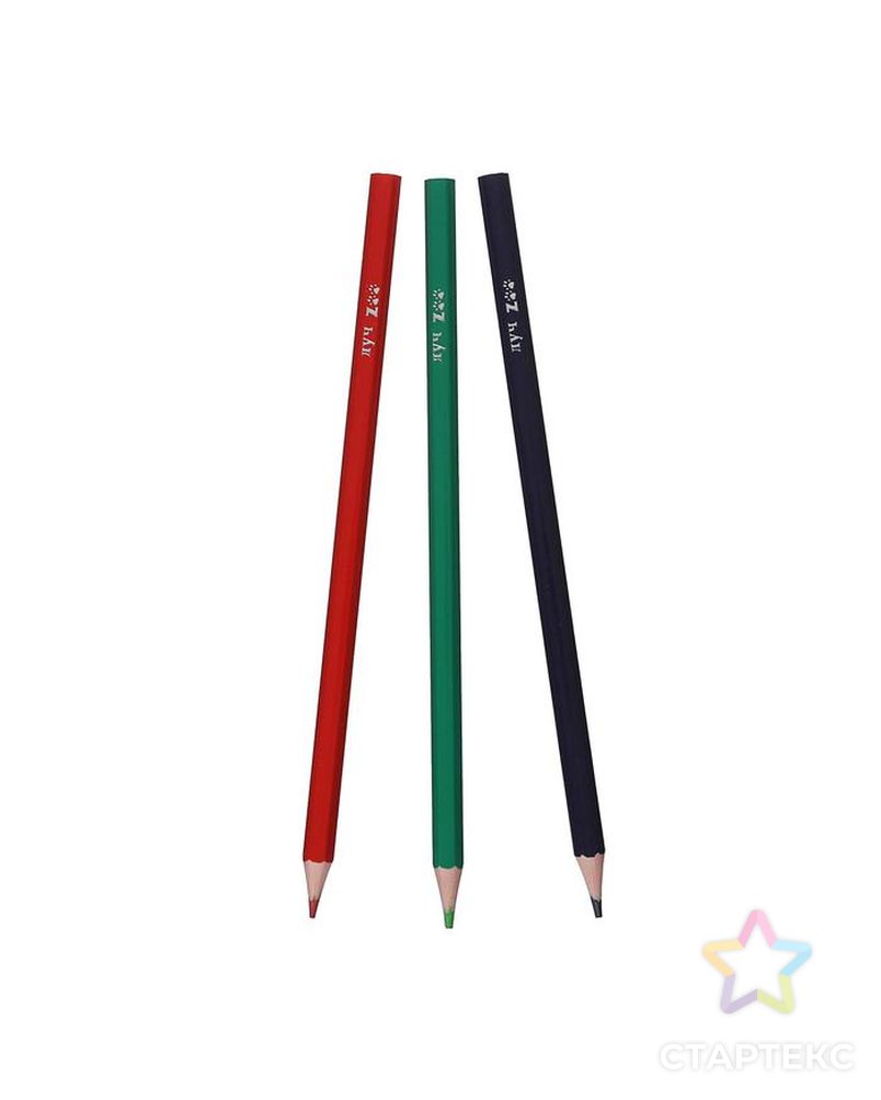 Цветные карандаши 18 цветов ZOO, пластиковые, шестигранные арт. СМЛ-177994-1-СМЛ0005274929 2