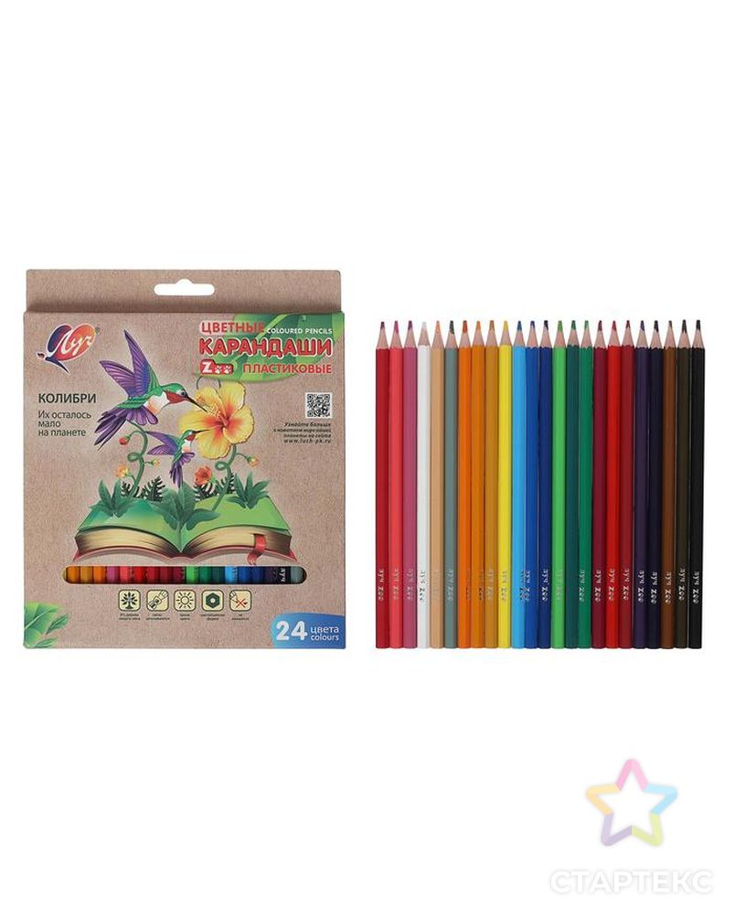 Цветные карандаши 24 цвета ZOO, пластиковые, шестигранные арт. СМЛ-177995-1-СМЛ0005274930 1