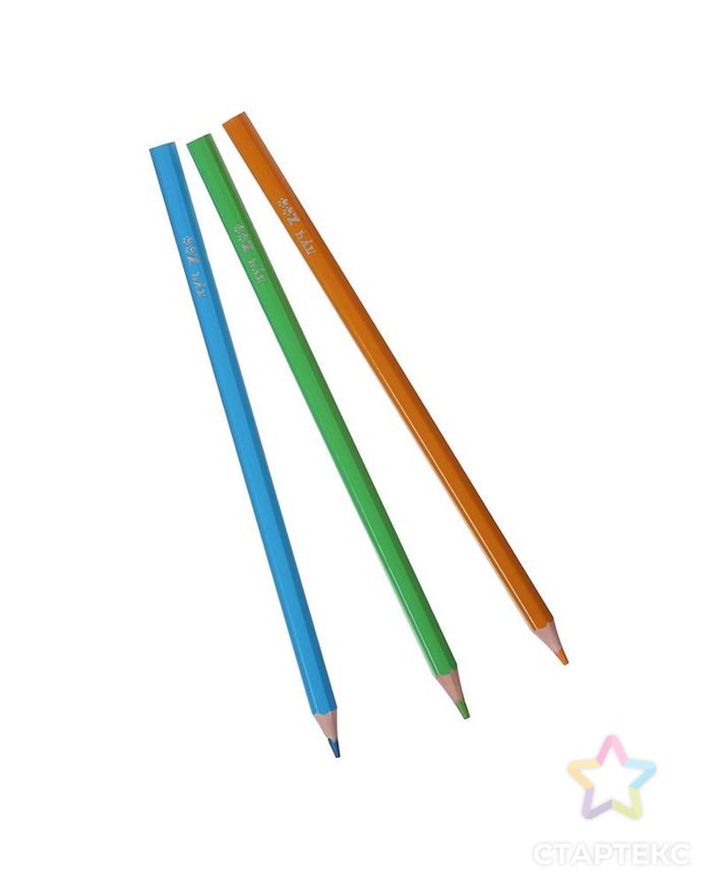 Цветные карандаши 24 цвета ZOO, пластиковые, шестигранные арт. СМЛ-177995-1-СМЛ0005274930 2