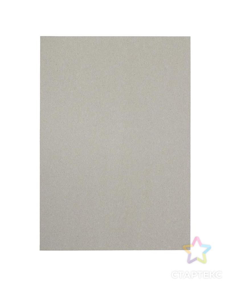 Картон белый А4, 8 листов «Луч», плотность 220 г/м2 арт. СМЛ-207361-1-СМЛ0005274945 3