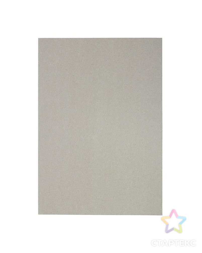 Картон белый А4, 8 листов «Луч», плотность 220 г/м2 мелованный арт. СМЛ-207362-1-СМЛ0005274946 3