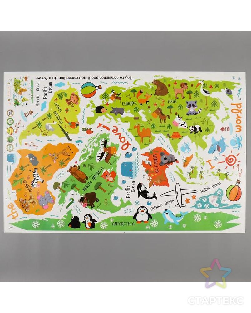 Наклейка пластик интерьерная цветная "Карта мира - животные" 60х90 см арт. СМЛ-207853-1-СМЛ0005277631