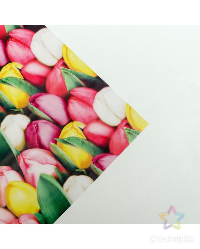 Бумага упаковочная глянцевая  «Тюльпаны с 8 марта», 70 × 100 см арт. СМЛ-115840-1-СМЛ0005351672 3