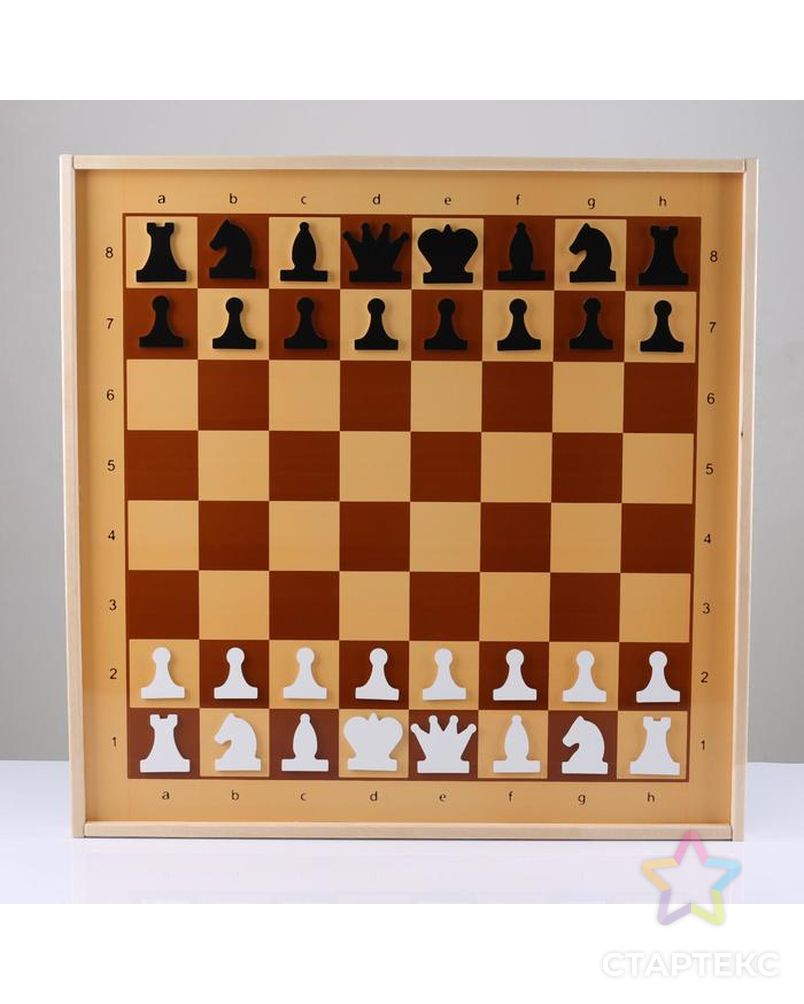 Шахматы и шашки демонстрационные магнитные 73х73х3.5 см арт. СМЛ-110564-1-СМЛ0005378462 1
