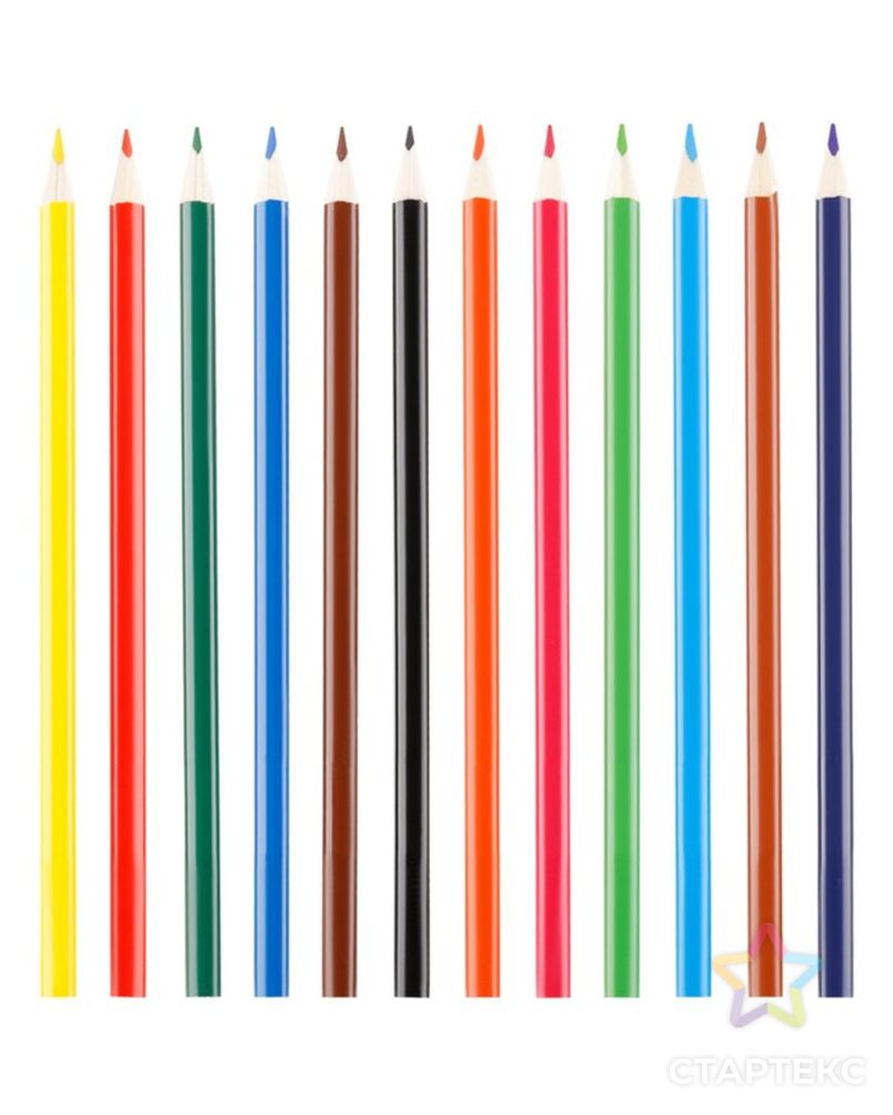 Карандаши 12 цветов Calligrata заточенные, трехгранные, пластиковые, картонная упаковка, европодвес арт. СМЛ-195187-1-СМЛ0005386767 2